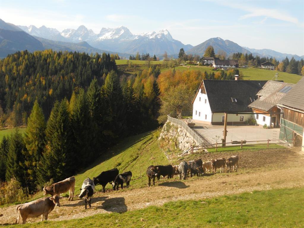 Familienbauernhof Imitz, Ferienwohnung Spital Am Pyhrn Luaran gambar