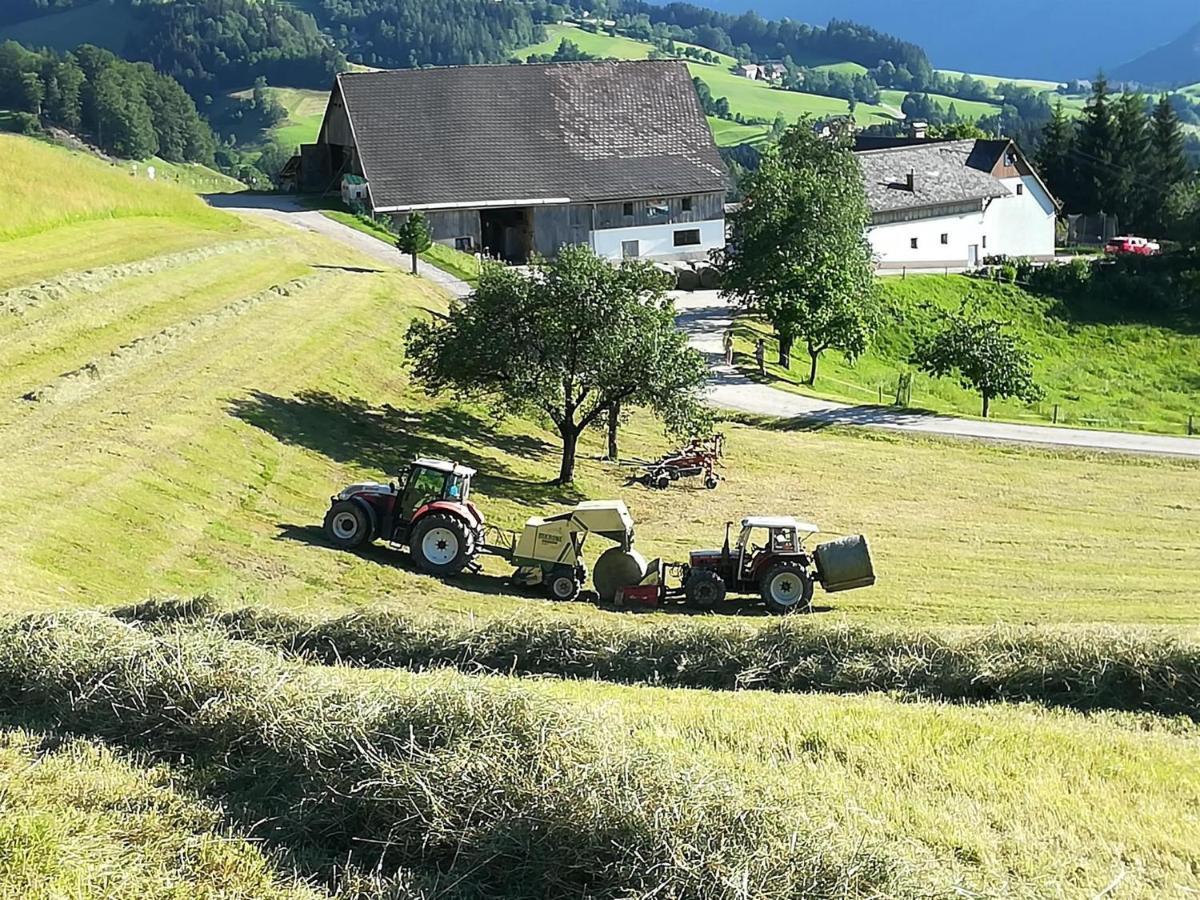 Familienbauernhof Imitz, Ferienwohnung Spital Am Pyhrn Luaran gambar