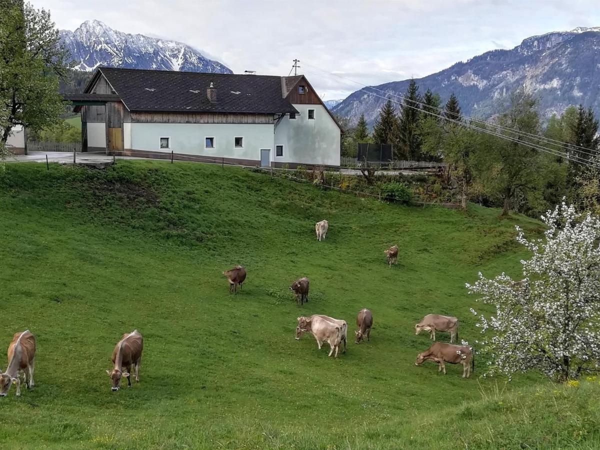 Familienbauernhof Imitz, Ferienwohnung Spital Am Pyhrn Luaran gambar